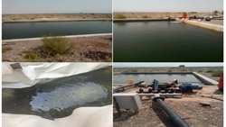 رهاسازی 14200 قطعه بچه ماهی کپور در شهرستان ارزوئیه